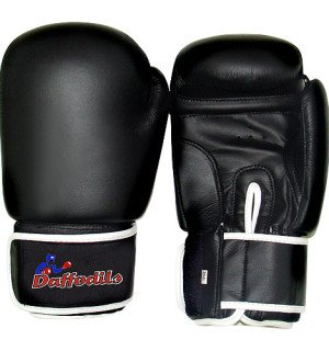Boxing Equipment